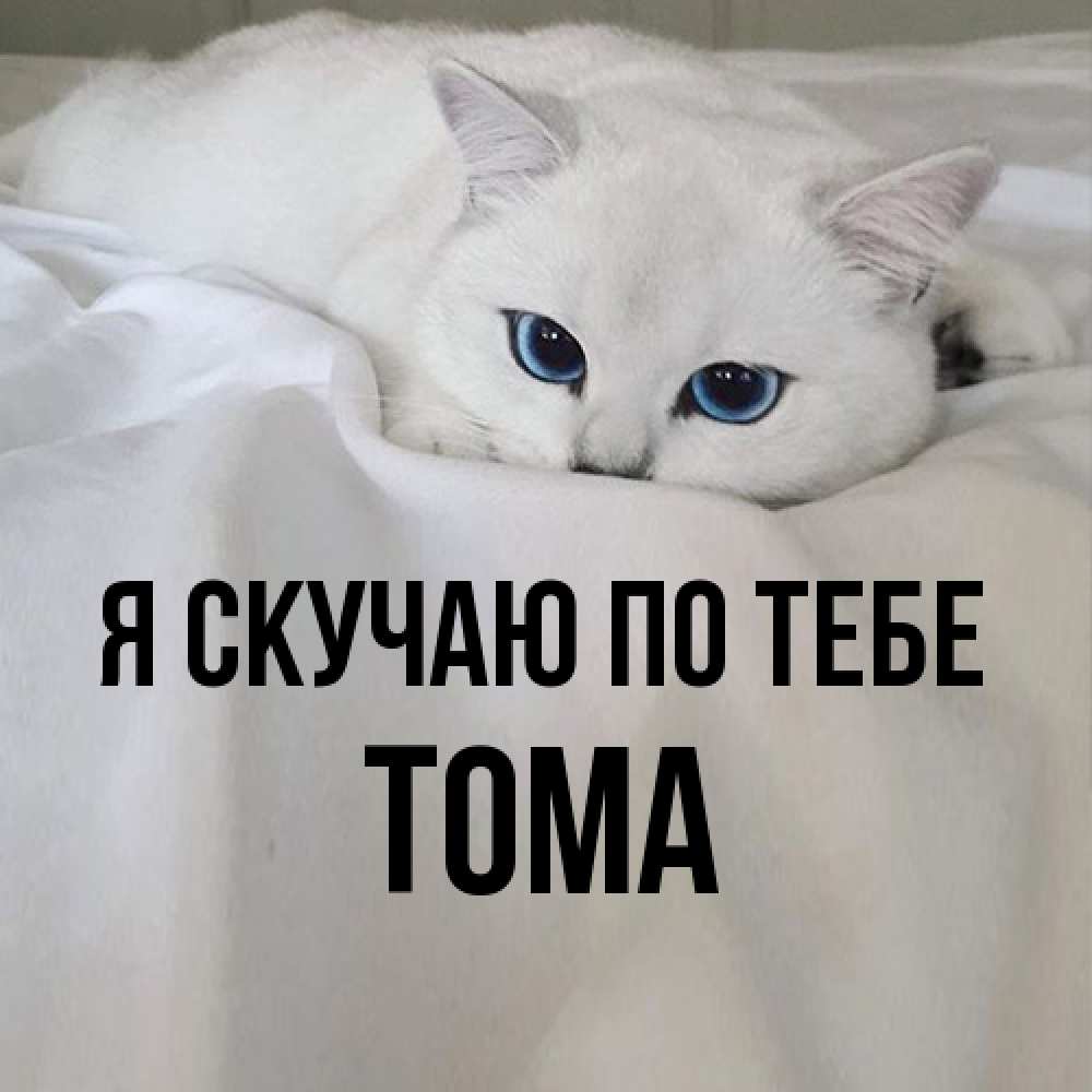 Открытка  с именем. Тома, Я скучаю по тебе  