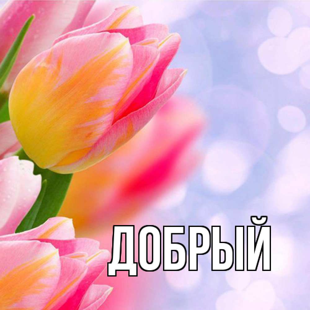 Открытка  с именем. Добрый, Главная  