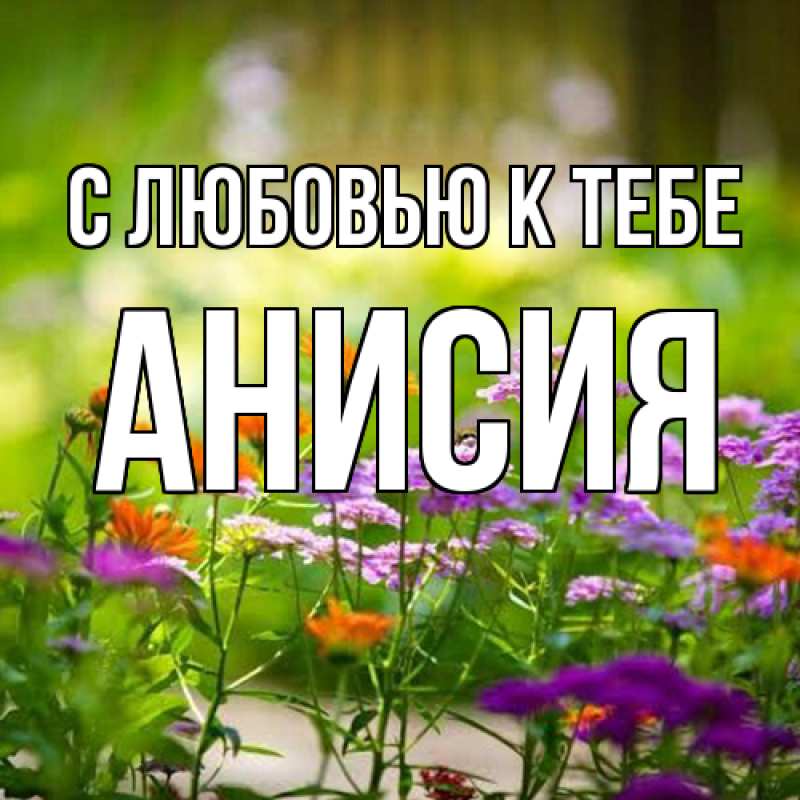 Картинка С любовью к тебе, Анисия