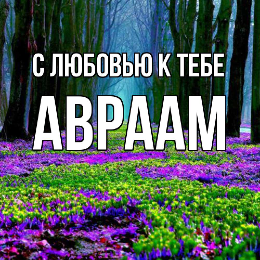 Открытка  с именем. Авраам, С любовью к тебе  