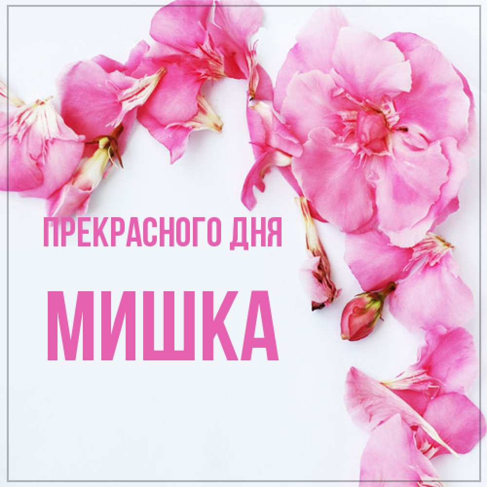 Открытка  с именем. Мишка, Прекрасного дня  