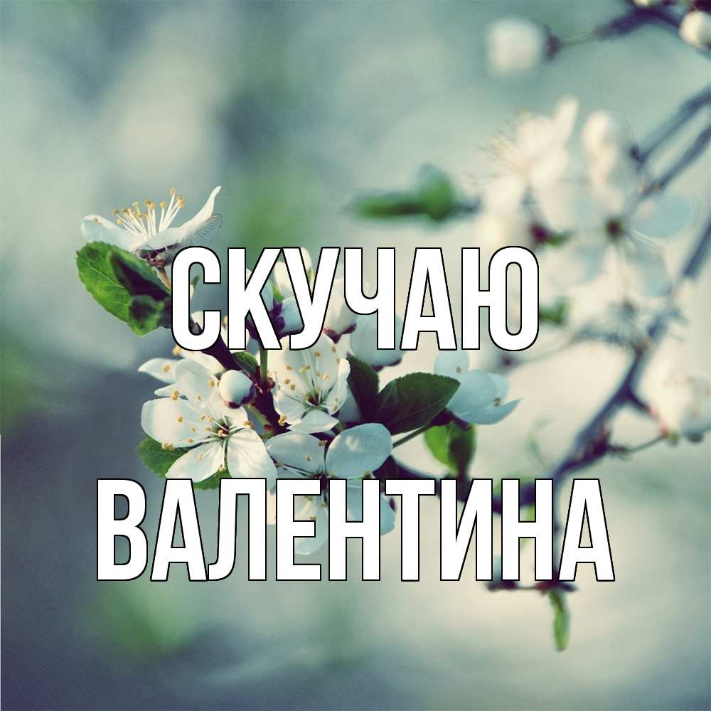 Открытка  с именем. валентина, Скучаю  
