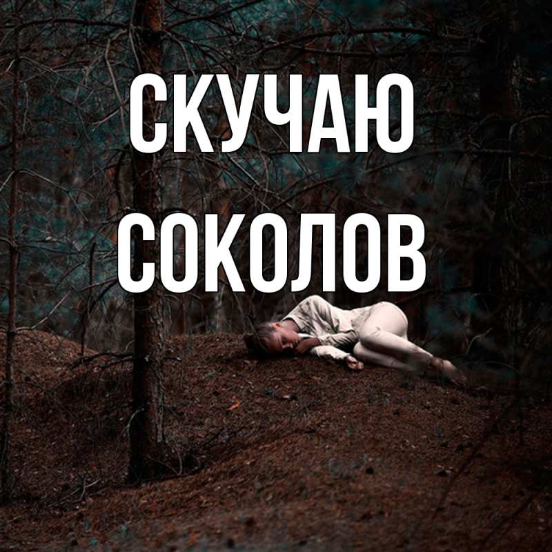 Картинка Скучаю, Соколов
