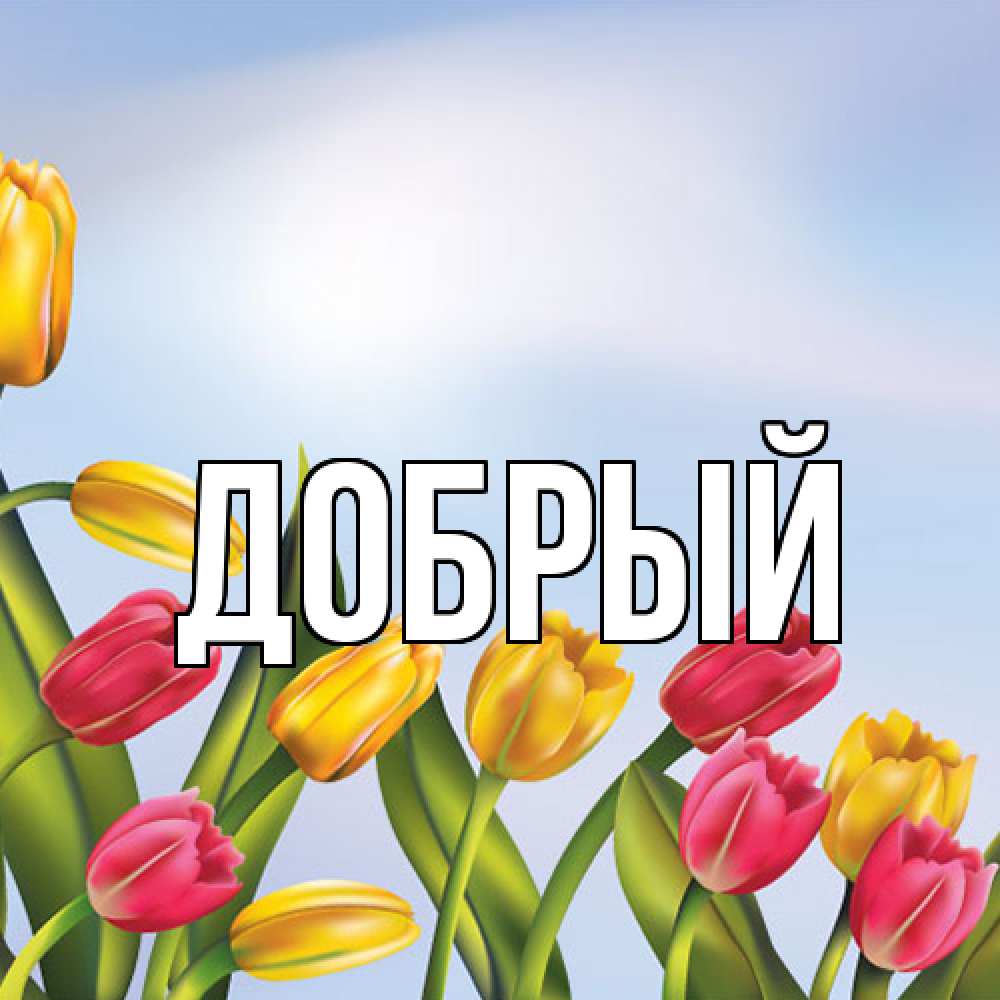 Открытка  с именем. Добрый, Главная  