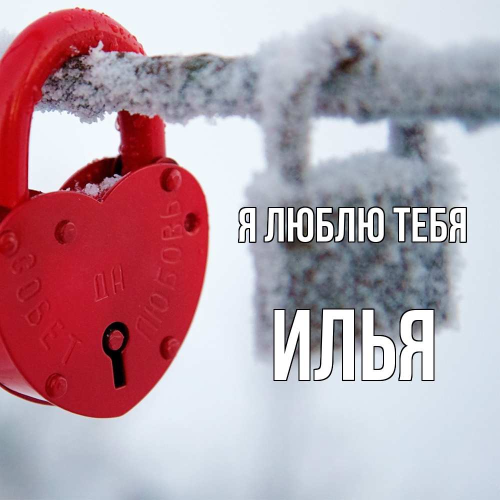 Открытка  с именем. Илья, Я люблю тебя  