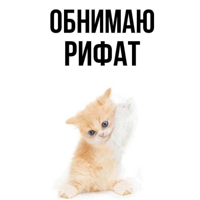 Картинка Обнимаю, Рифат