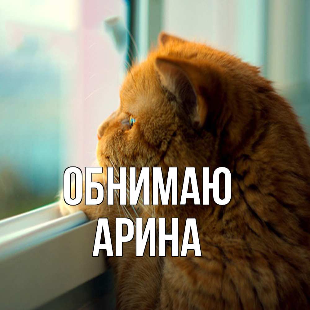 Открытка  с именем. Арина, Обнимаю  