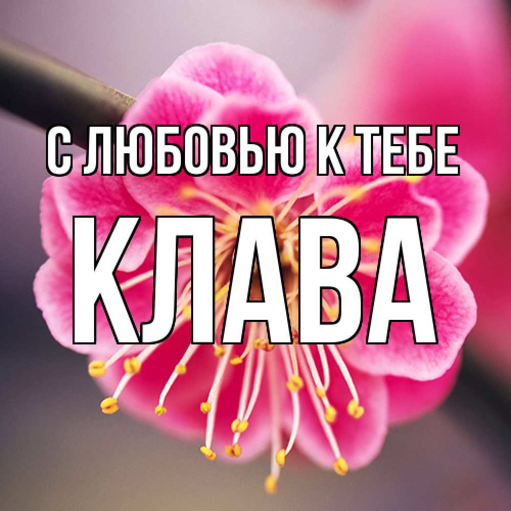 Открытка  с именем. Клава, С любовью к тебе  