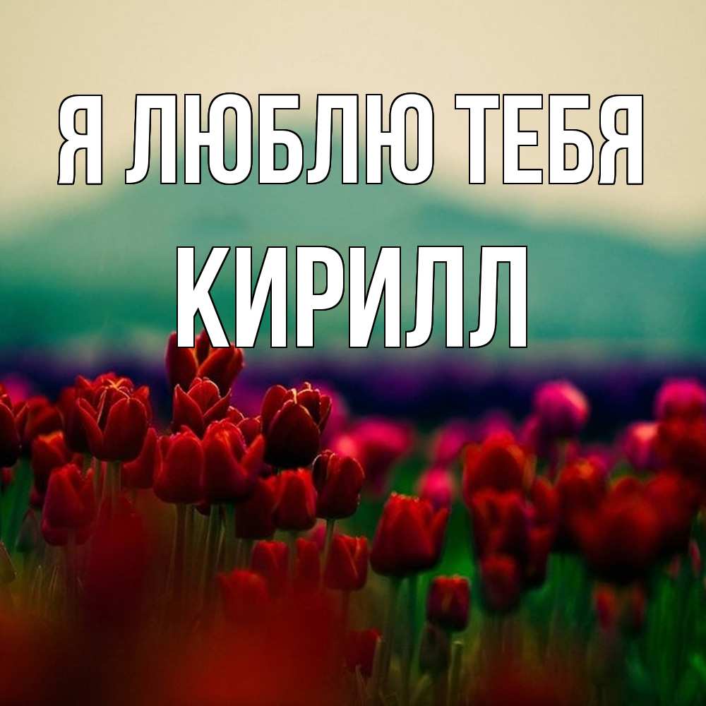 Открытка  с именем. Кирилл, Я люблю тебя  