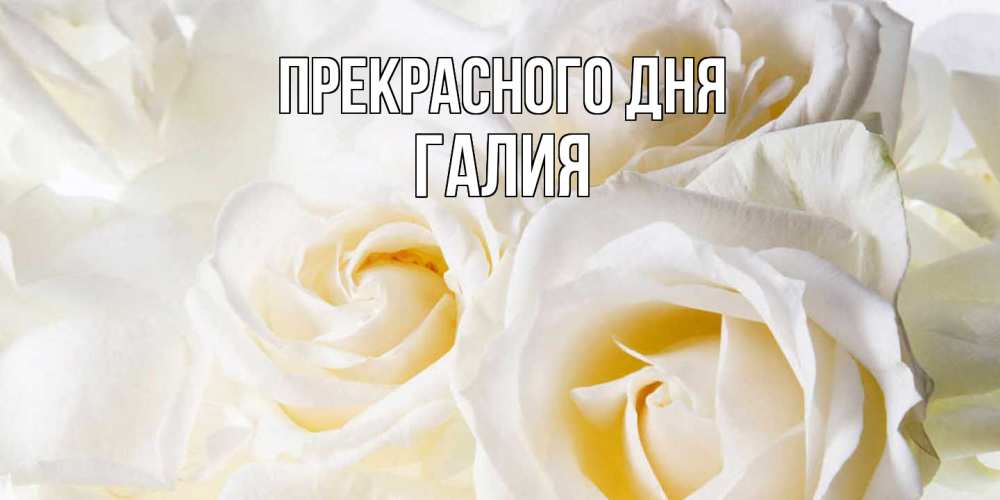 Открытка  с именем. Галия, Прекрасного дня  