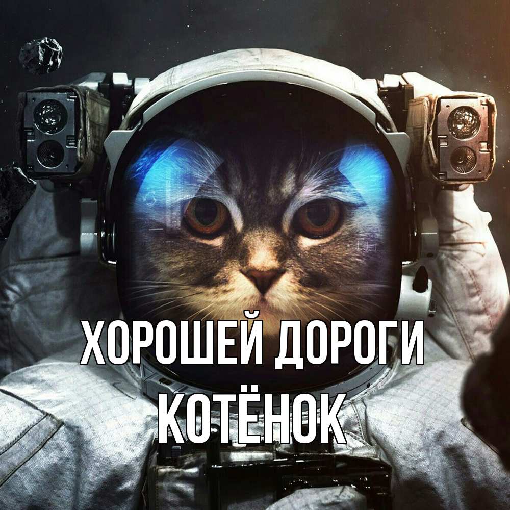 Открытка  с именем. Котёнок, Хорошей дороги  