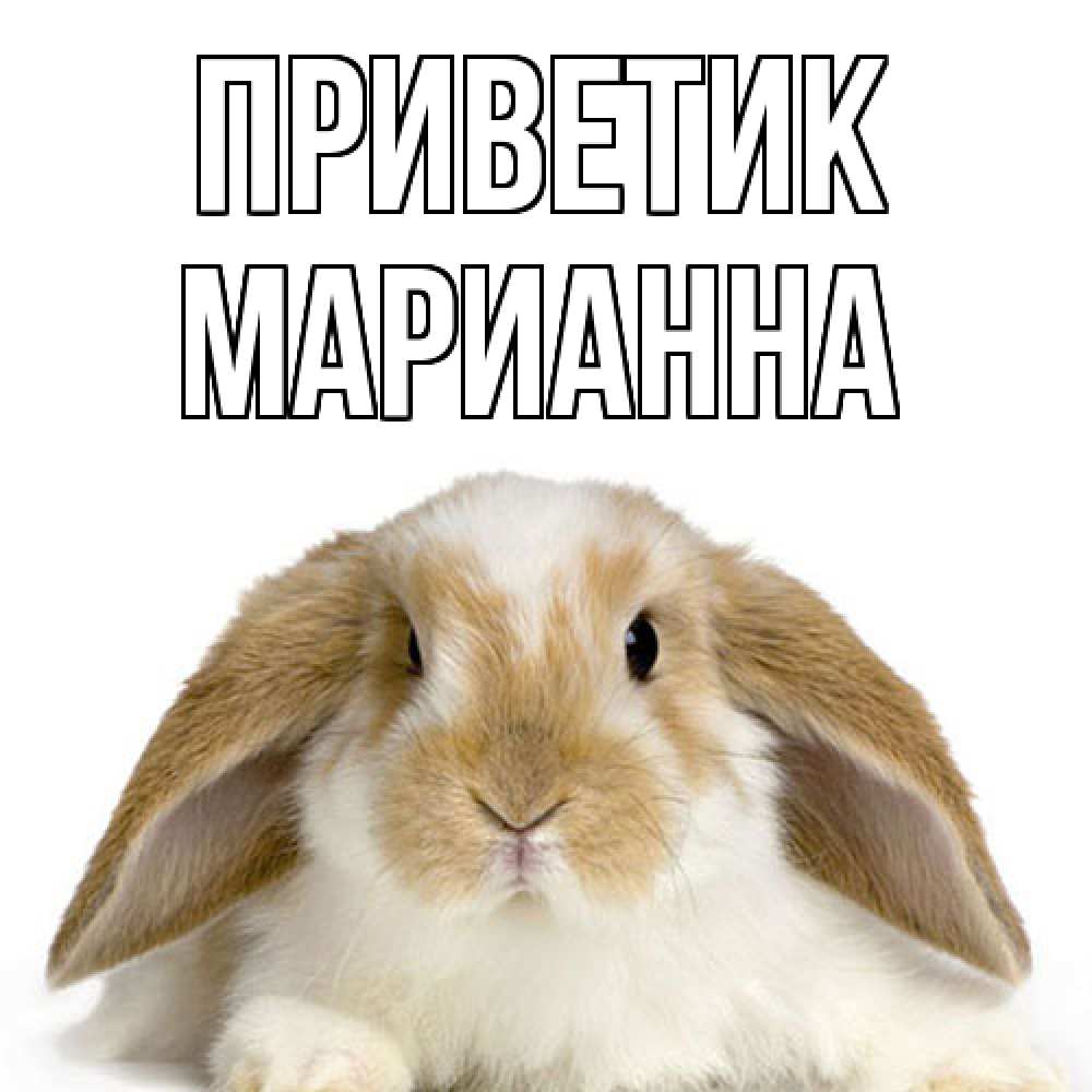 Открытка  с именем. Марианна, приветик  