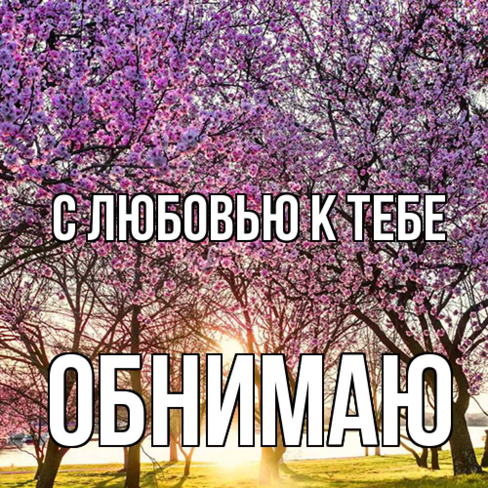 Открытка  с именем. Обнимаю, С любовью к тебе  