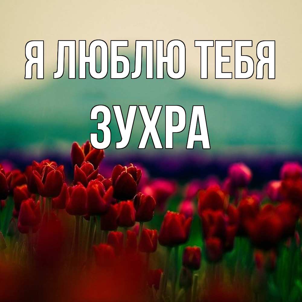 Открытка  с именем. Зухра, Я люблю тебя  