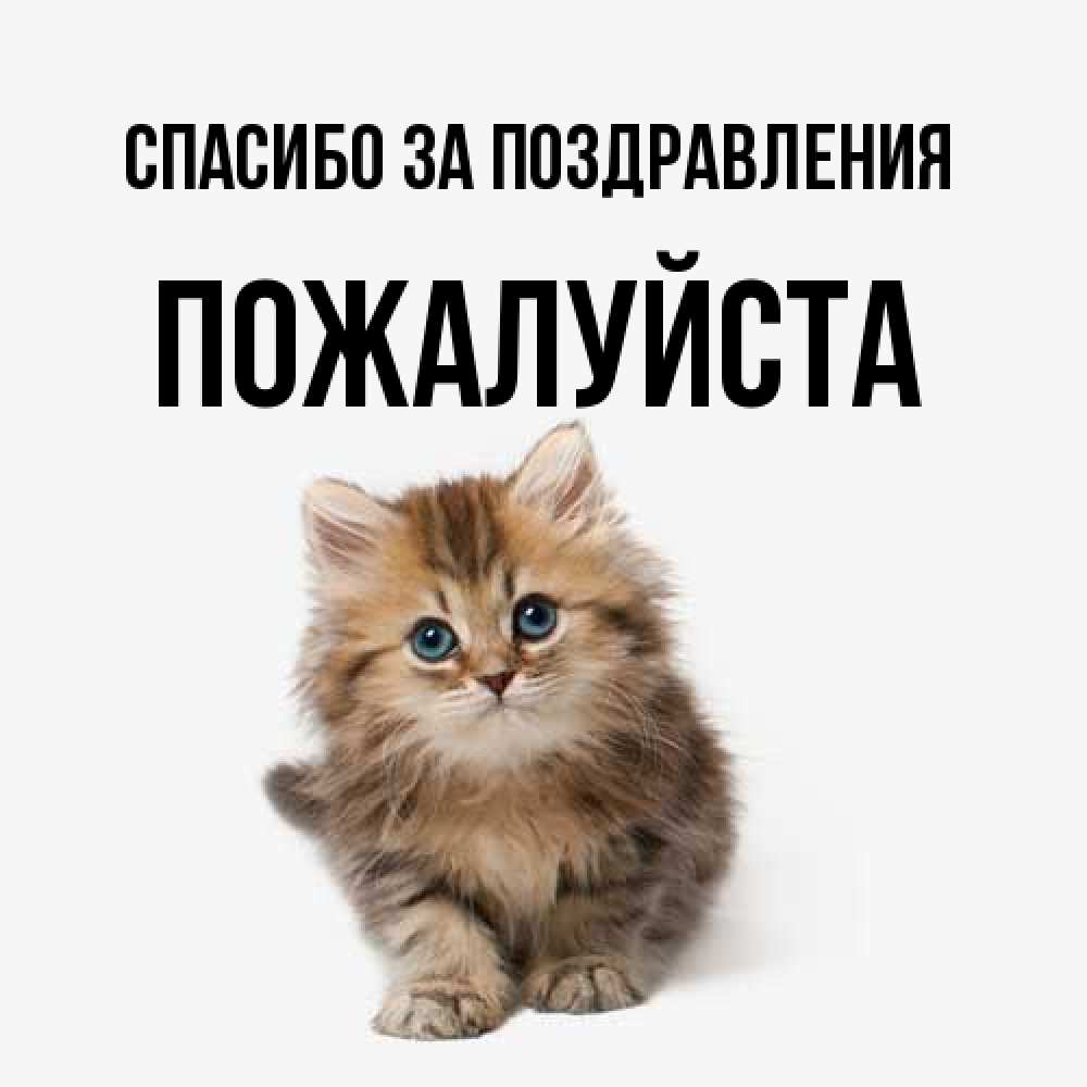 Открытка  с именем. Пожалуйста, Спасибо за поздравления  