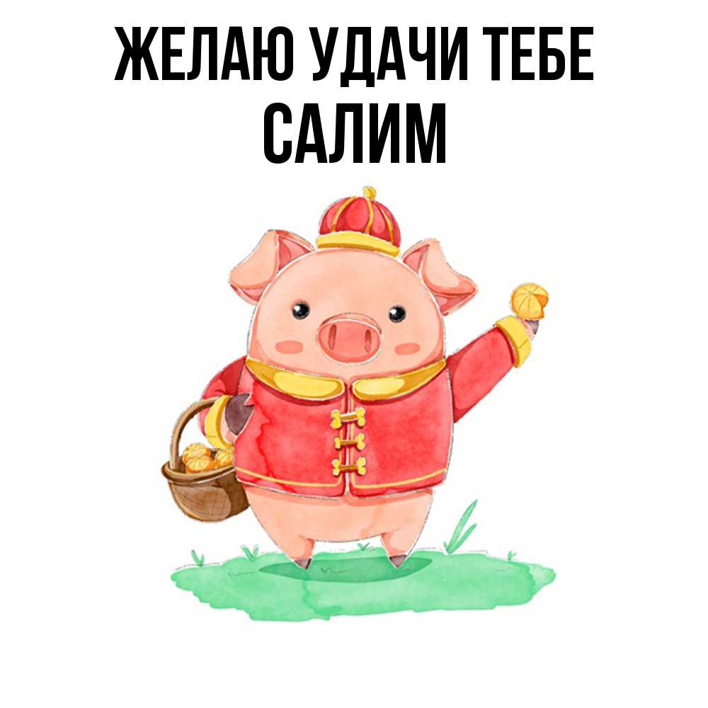 Открытка  с именем. Салим, Желаю удачи тебе  