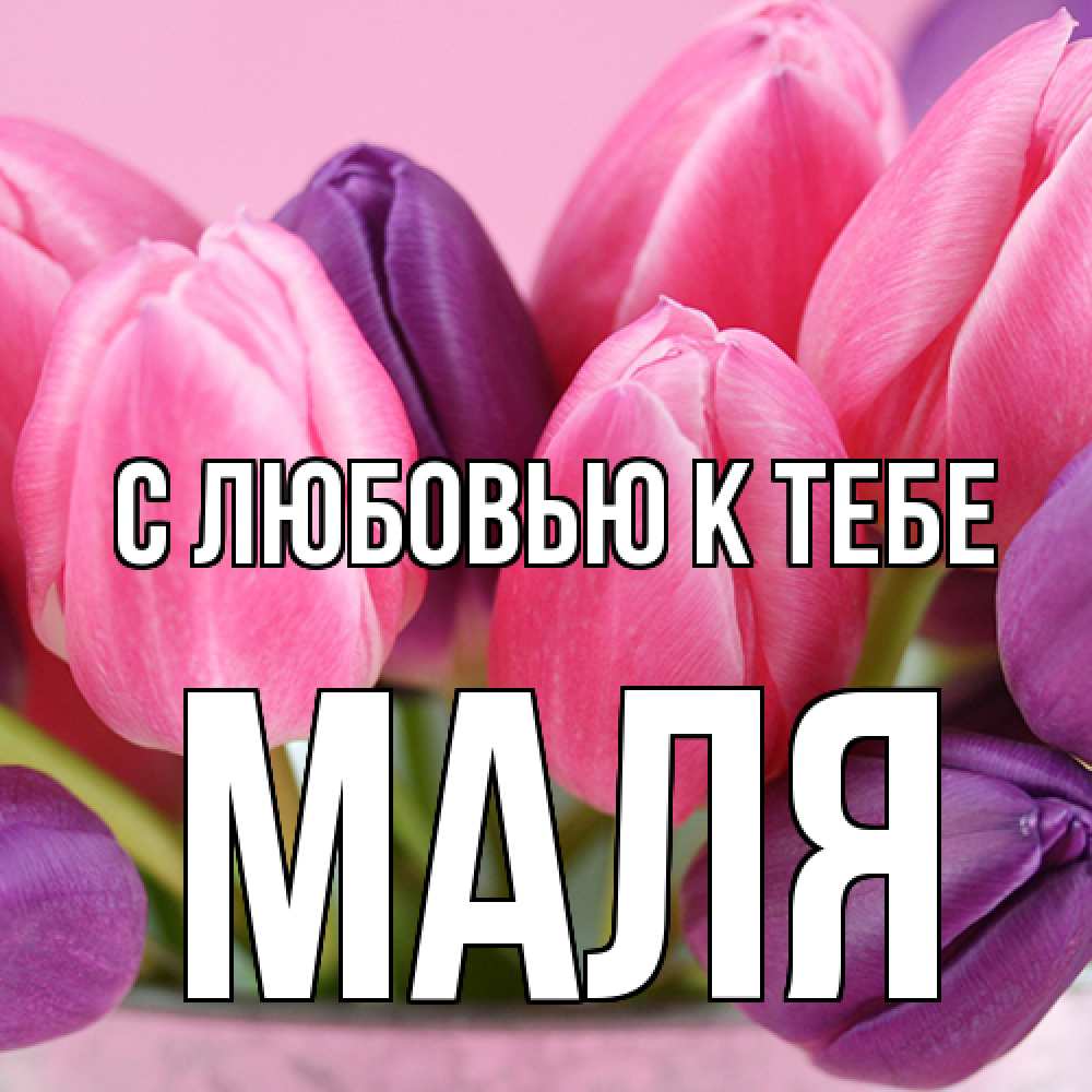 Открытка  с именем. Маля, С любовью к тебе  