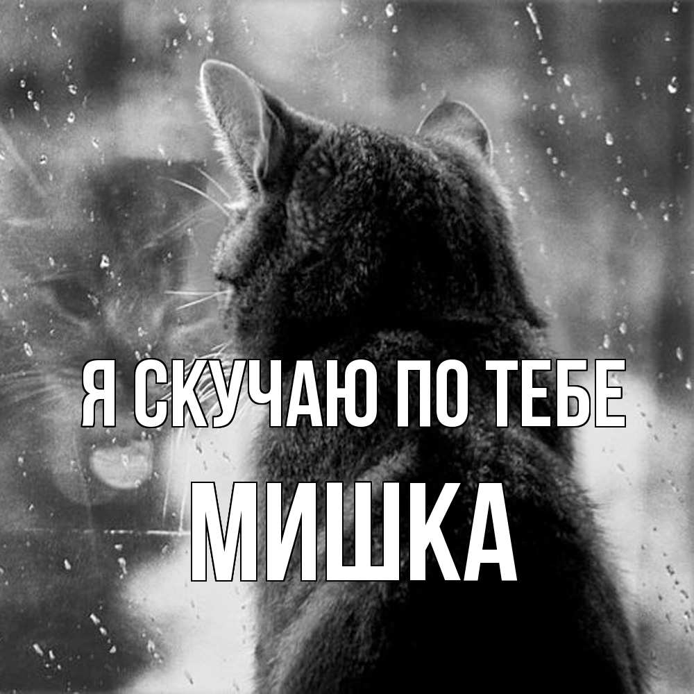 Открытка  с именем. Мишка, Я скучаю по тебе  