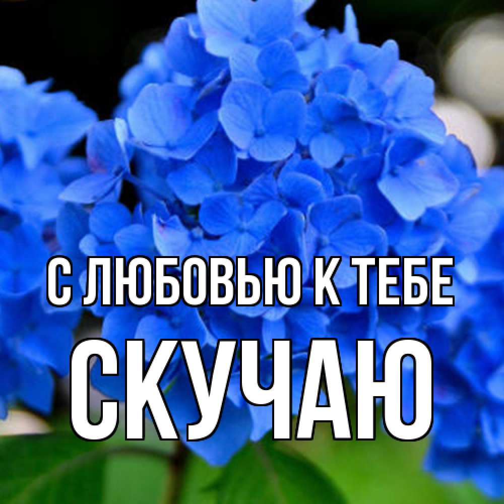 Открытка  с именем. Скучаю, С любовью к тебе  