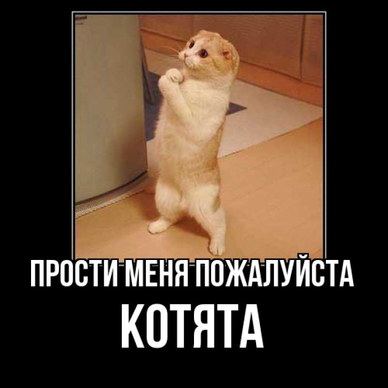 Картинка Прости меня пожалуйста, Котята