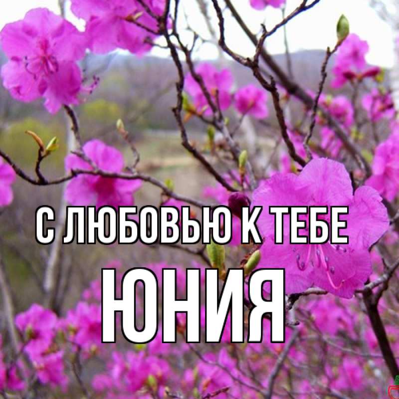 Картинка С любовью к тебе, Юния