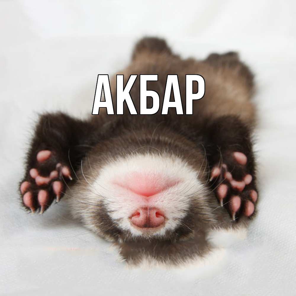 Открытка  с именем. Акбар, Главная  