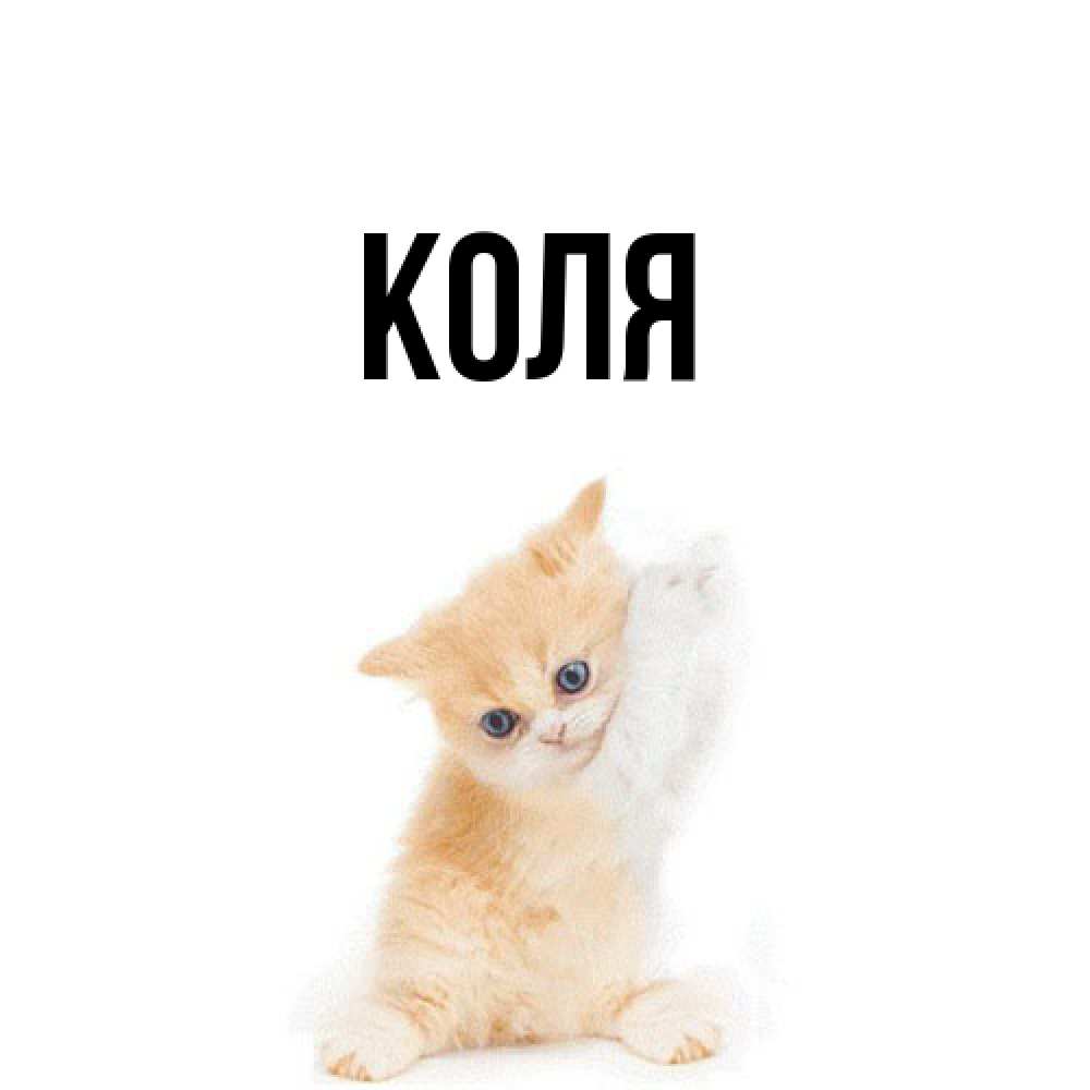 Открытка  с именем. коля, Главная  