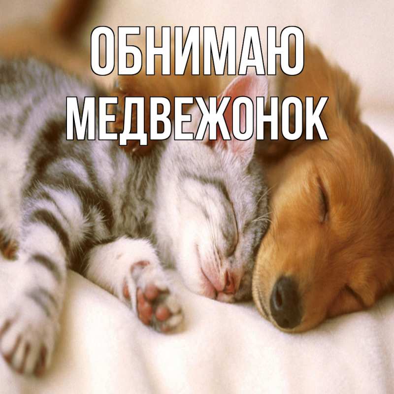 Картинка Обнимаю, Медвежонок