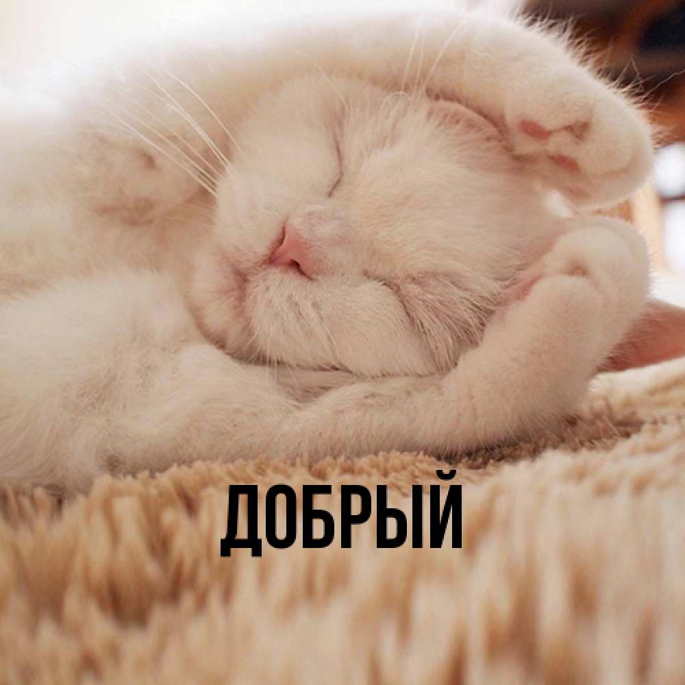 Открытка  с именем. Добрый, Главная  