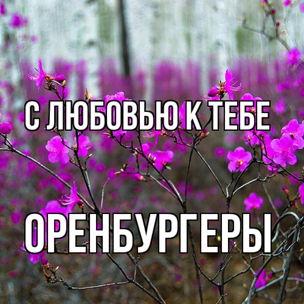 Открытка  с именем. Оренбургеры, С любовью к тебе  