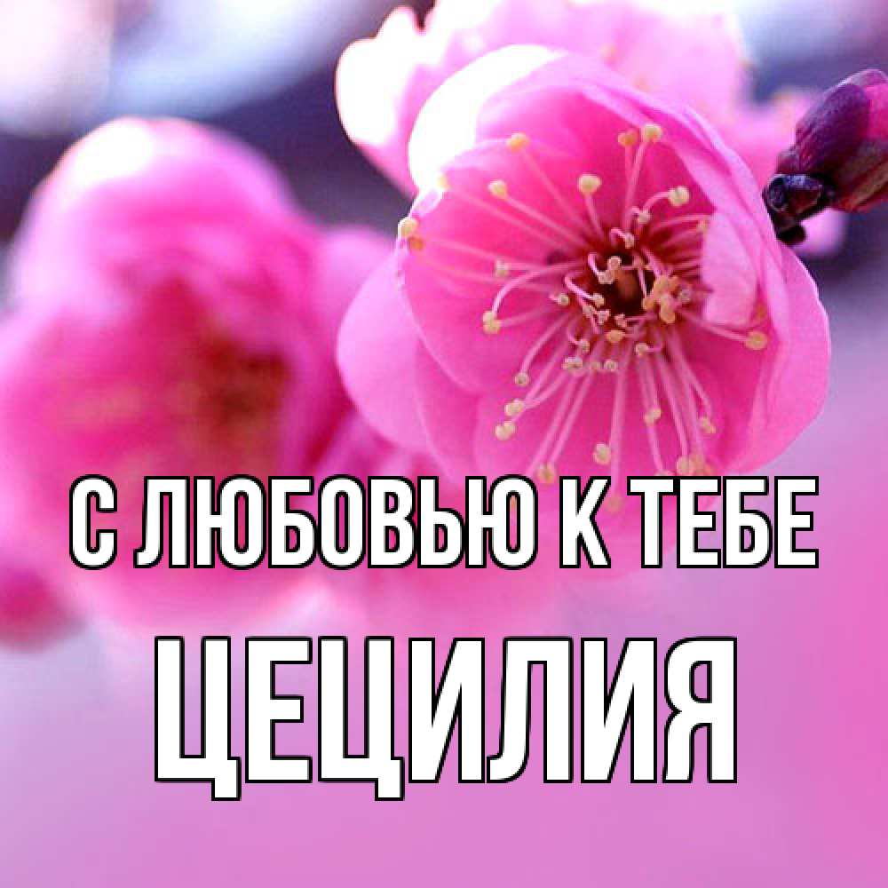 Открытка  с именем. Цецилия, С любовью к тебе  