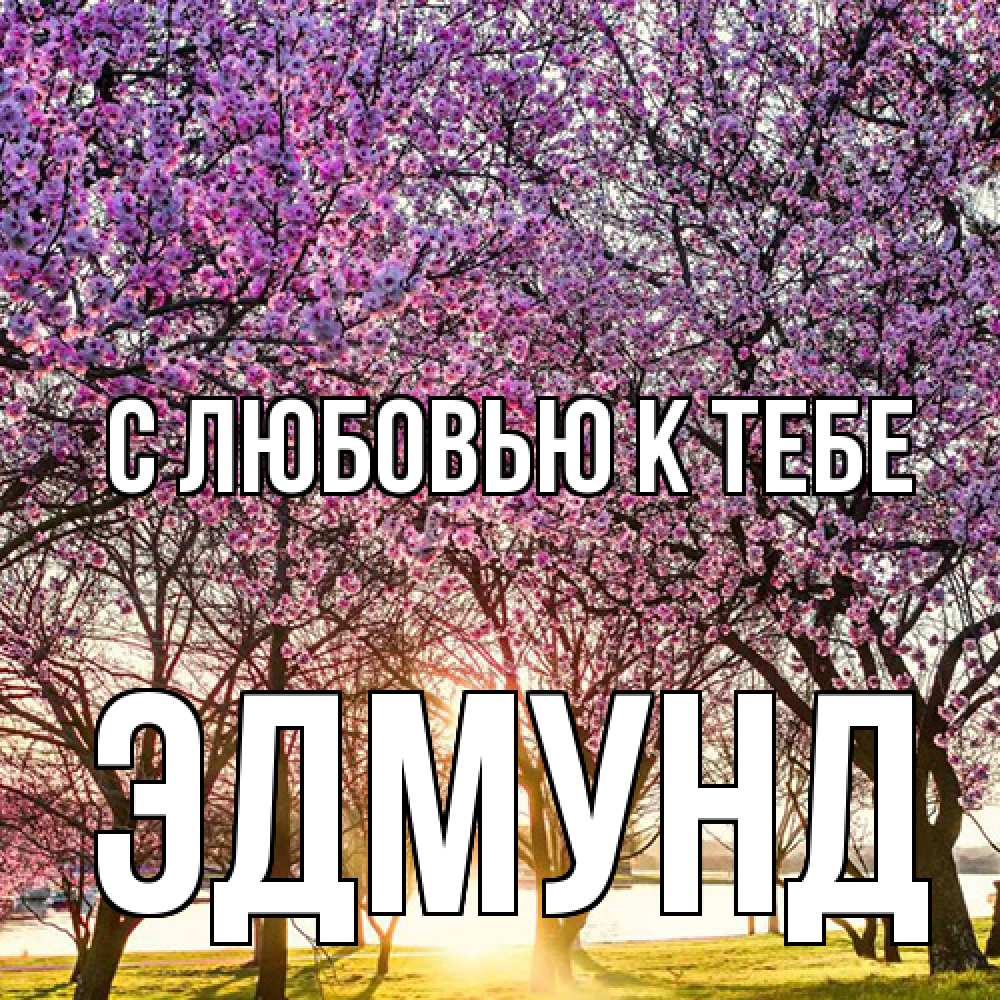 Открытка  с именем. Эдмунд, С любовью к тебе  