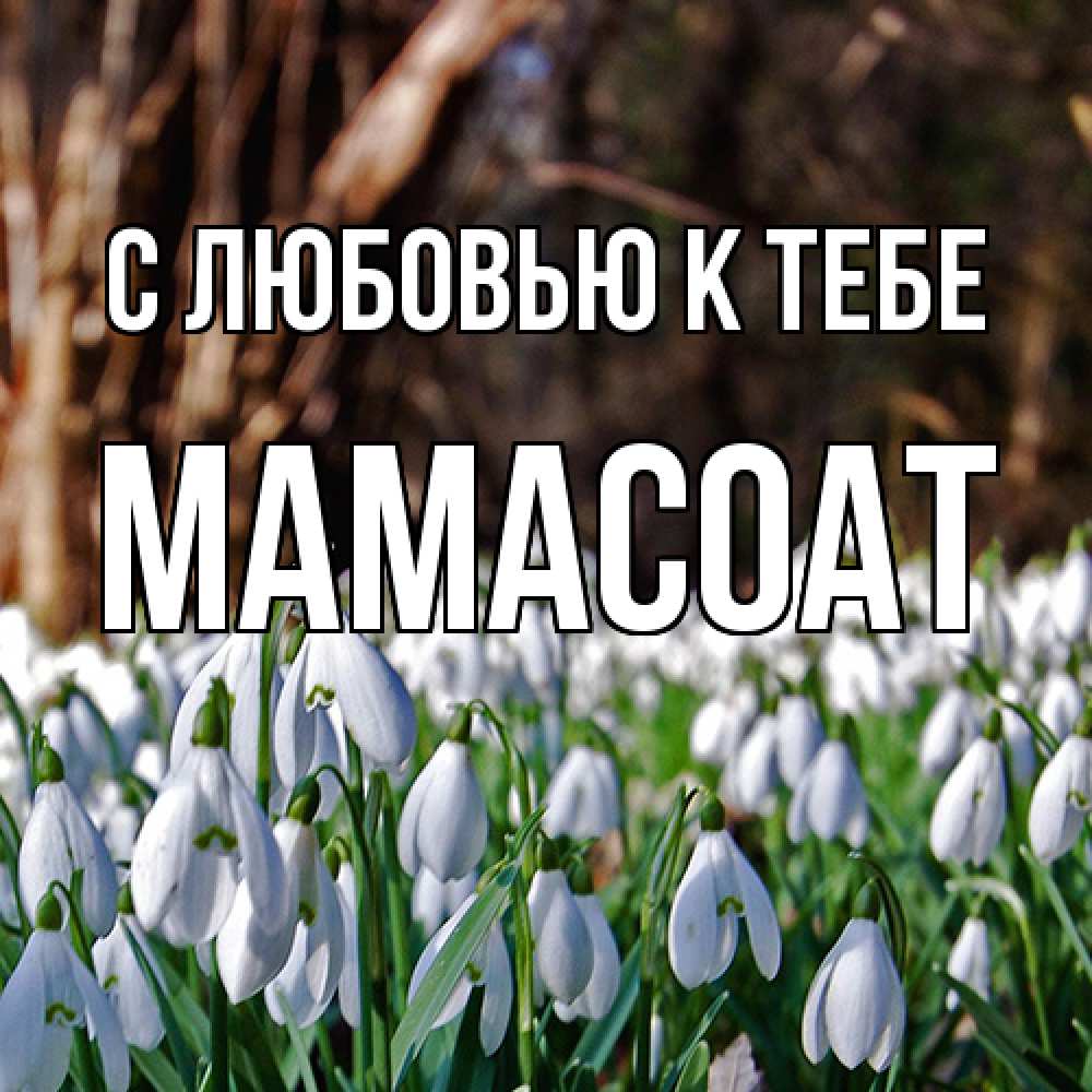 Открытка  с именем. Мамасоат, С любовью к тебе  