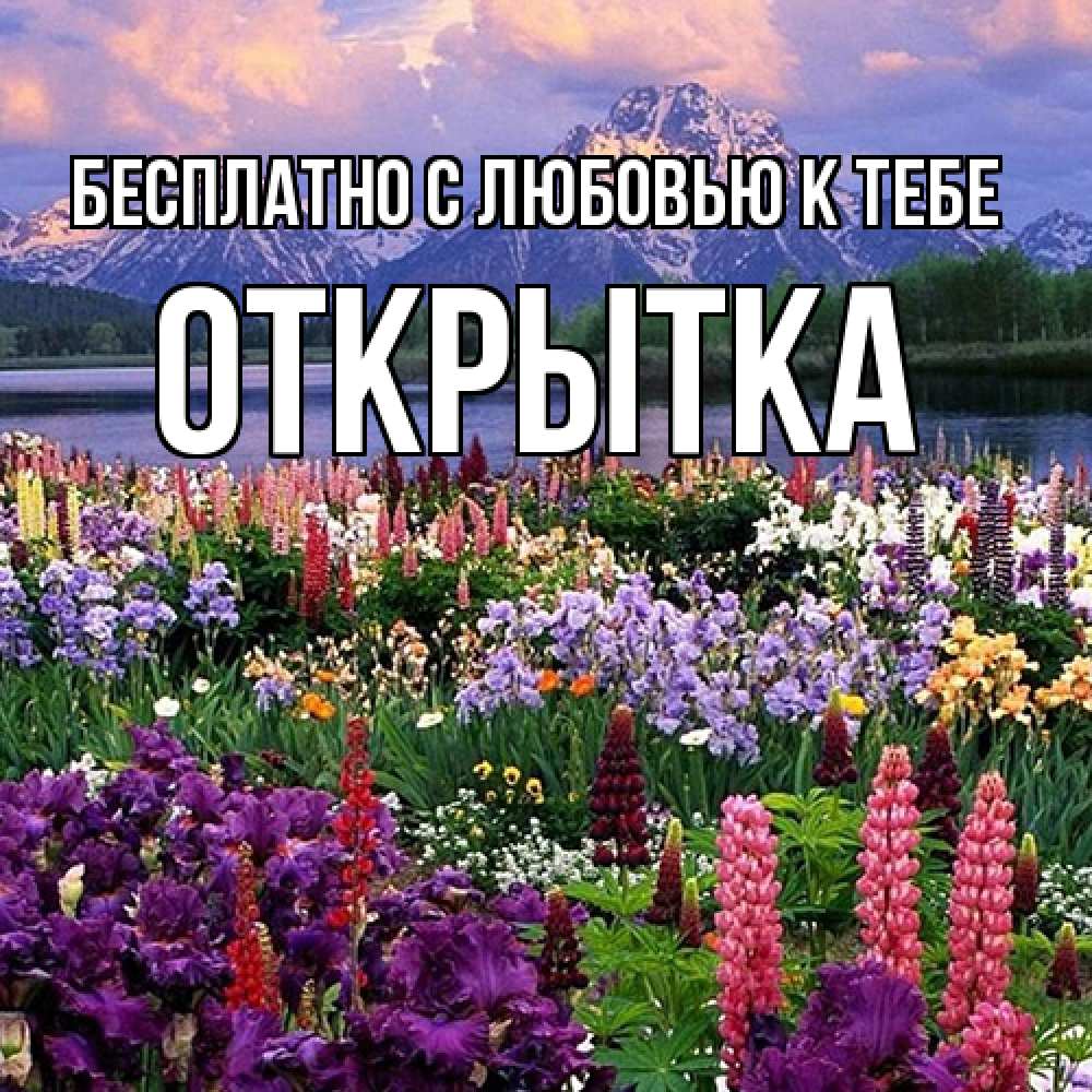 Открытка  с именем. открытка, С любовью к тебе  