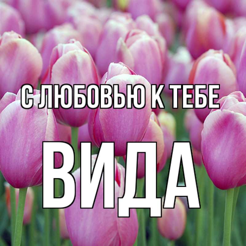 Картинка С любовью к тебе, Вида