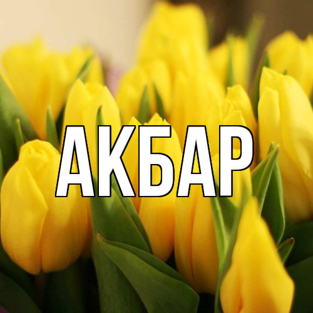 Открытка  с именем. Акбар, Главная  
