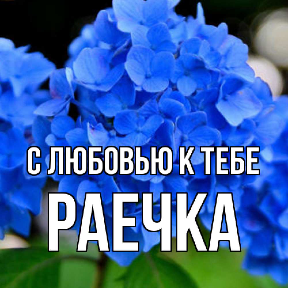 Открытка  с именем. Раечка, С любовью к тебе  