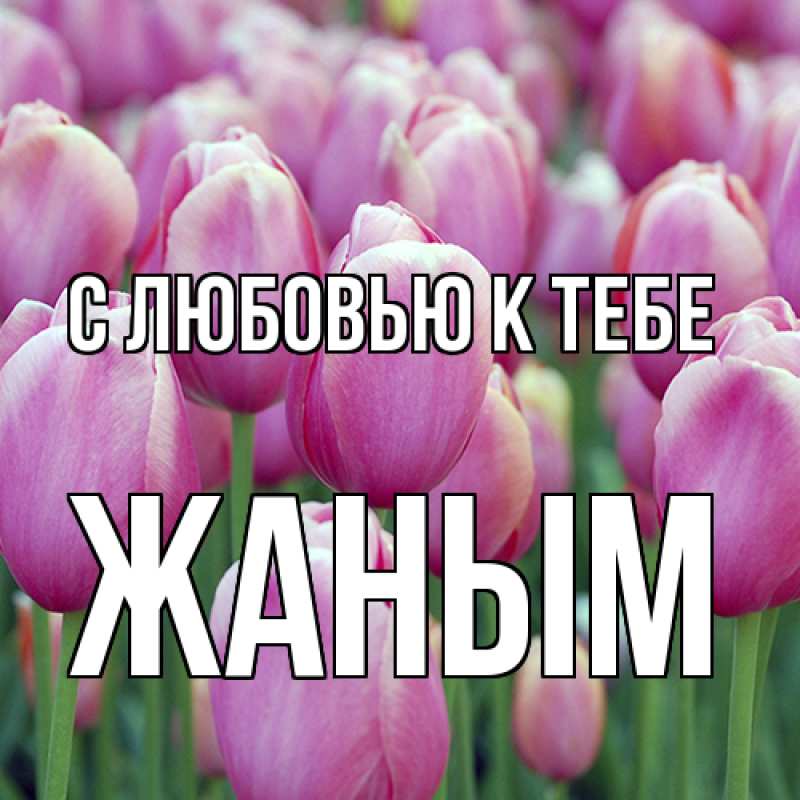 Картинка С любовью к тебе, Жаным
