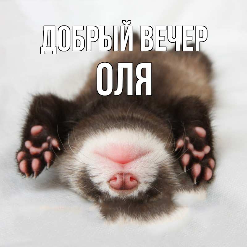 Картинка Добрый вечер, Оля