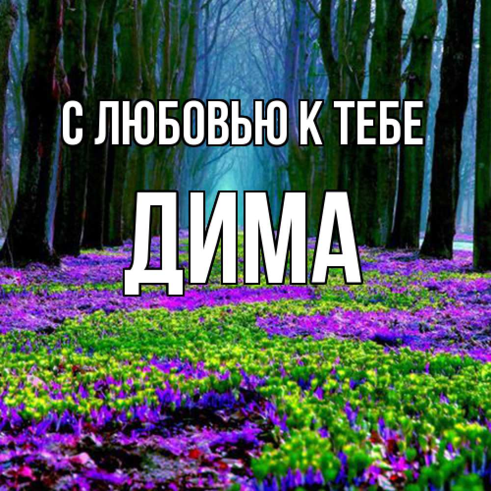 Открытка  с именем. Дима, С любовью к тебе  