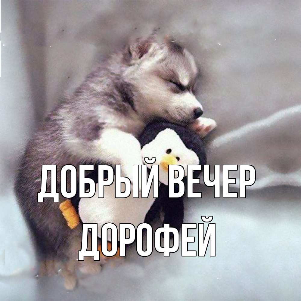 Открытка  с именем. Дорофей, Добрый вечер  
