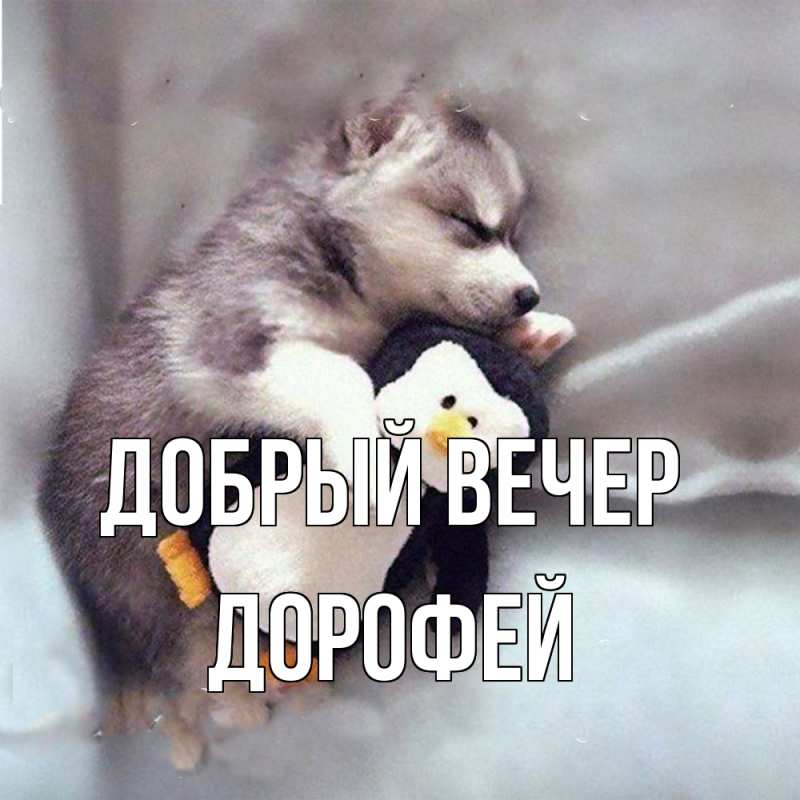 Картинка Добрый вечер, Дорофей