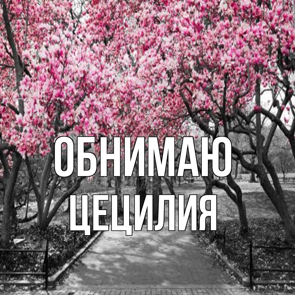 Открытка  с именем. Цецилия, Обнимаю  