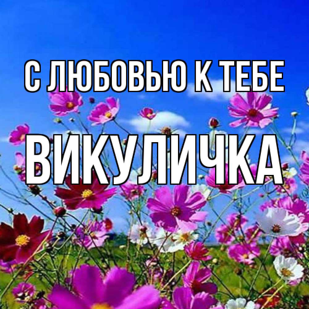 Открытка  с именем. Викуличка, С любовью к тебе  