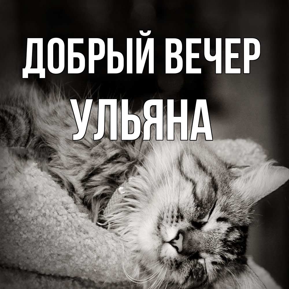Открытка  с именем. Ульяна, Добрый вечер  
