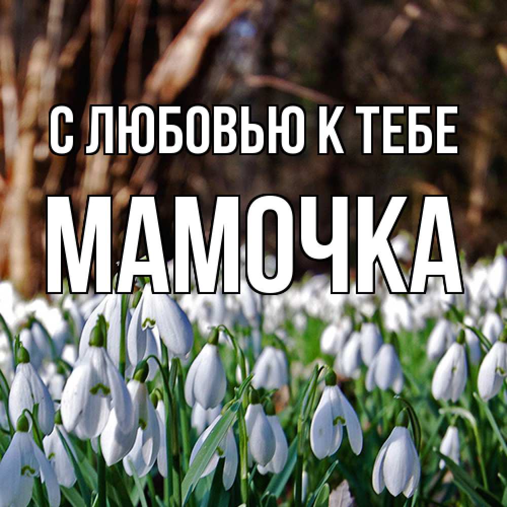 Открытка  с именем. Мамочка, С любовью к тебе  