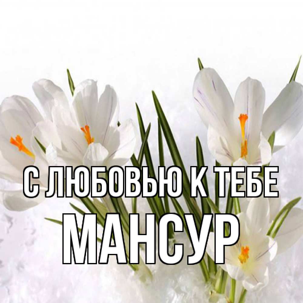 Открытка  с именем. Мансур, С любовью к тебе  