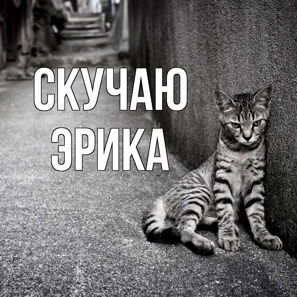 Открытка  с именем. ЭРИКА, Скучаю  