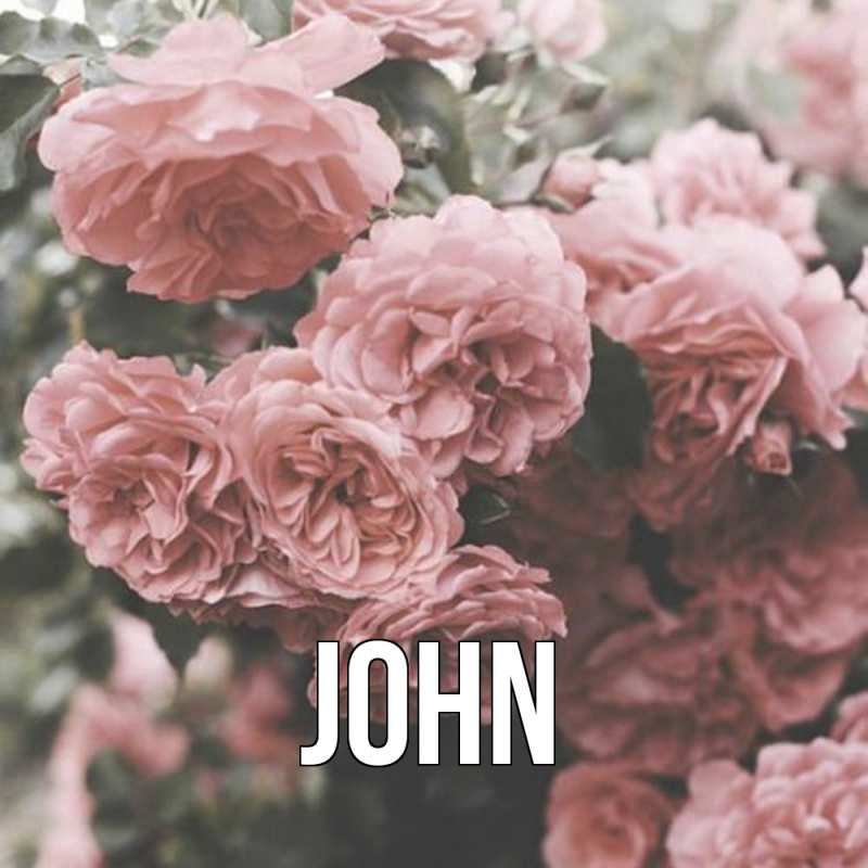Картинка  с именем , John