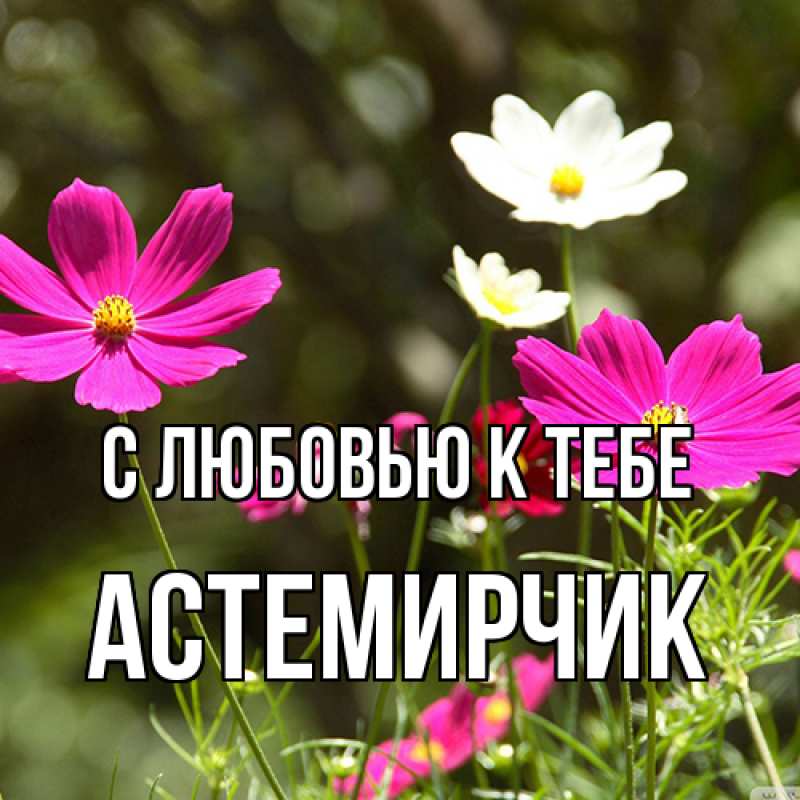 Картинка С любовью к тебе, Астемирчик